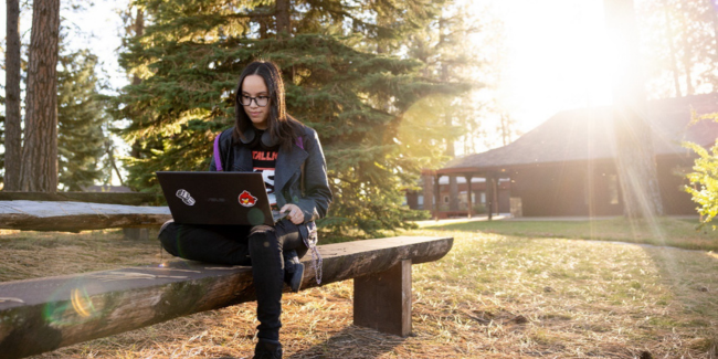 Person sitting on a bench on their laptop